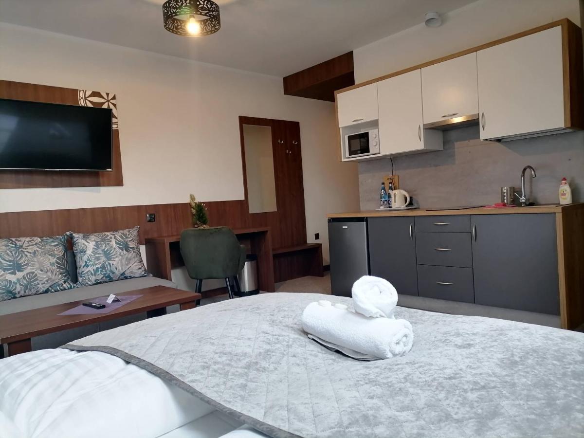 Willa U Kosle 2 Apartment Закопане Екстериор снимка